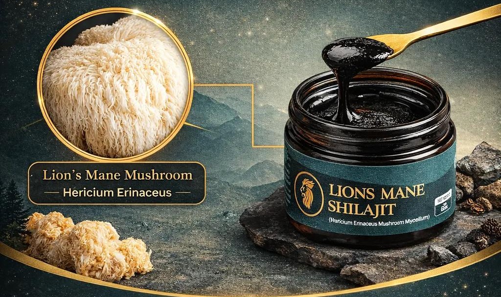 Lions Mane Shilajit jar, 30g